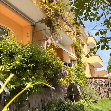 Maison Mosgenstein Daire